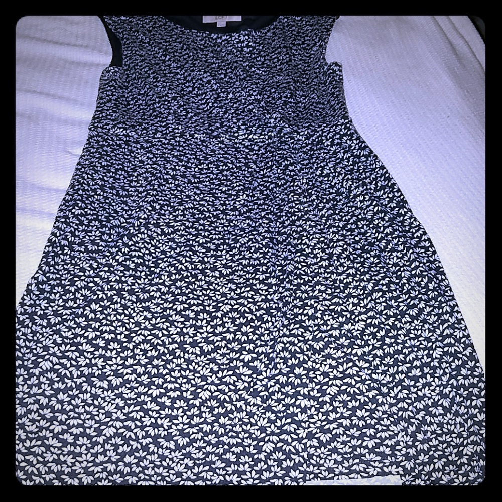 Ann Taylor loft blue sleeveless floral dress small